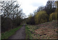 Footpath along the side of the River Blyth