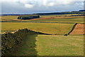 View over the north of Wedderlie