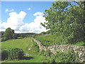 Public footpath through pasture land east of Dol-uwch-afon