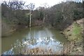 Pond on Beldon Brook