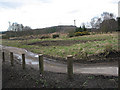 Towards the Forest, Steam Mills