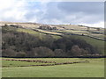 The valley of Rookhope Burn (2)