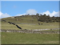 Pastures below Harrow Bank