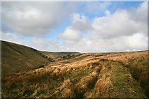 SS7841 : The Warren Exmoor by Dave Sellers