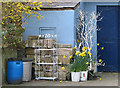 Tidy yard near the florist