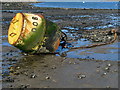 Buoy, Groomsport Harbour [1]