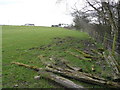 The site of Trabboch colliery