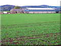 Braigiewell farm, Hill of Fare behind