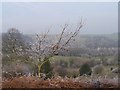 Hoar Frost above Oughtibridge