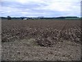 Ploughed field near Greenhill