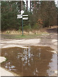 SU8764 : Signpost, Upper Star Post, Swinley Forest by David Hawgood