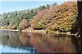 Autumn view at Roddlesworth Reservoir