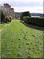 Footpath near Camelford