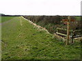 TA0649 : Footpath Junction near Decoy by Andy Beecroft