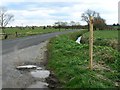 Cow Bridge Road, south of Glastonbury