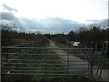 NZ2584 : Entrance to Choppington Woods by Kevin Richardson