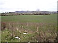 Glebe Townland