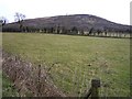 Glebe Townland