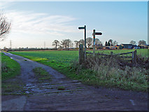 TA1436 : Green Lane to Swine by Peter Church