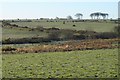 Shallow valley, looking towards Sancreed