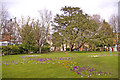 Library Green, Enfield