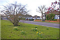 Green opposite junction of Prince George Avenue and Kenwood Avenue, London N14