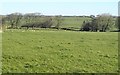 Inny valley from Tremail