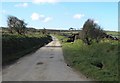 Lane near West Holme Farm