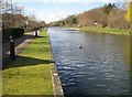 Grand Union Canal near Croxley Green