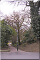 Footpath from Crescent Road to Old Park View, Enfield