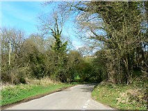 ST6938 : Portsway Lane from Saite Lane, south of Batcombe by Brian Robert Marshall