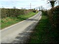 Stone Lane east of Parbrook