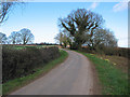 Country road from Kempley