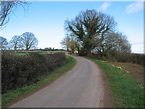 SO6731 : Country road from Kempley by Pauline E