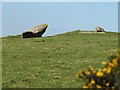 Hendraburnick Quoit