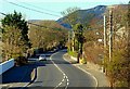 The Shore Road near Jordanstown