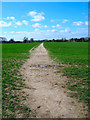 Footpath to Yapton