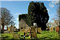 J4589 : Old church and graveyard, Kilroot (1) by Albert Bridge