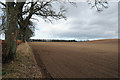 Farmland and Trees