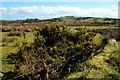 Countryside near Lough Mourne