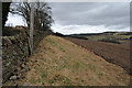 Dry Stane Dyke and Farmland near Couston