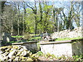 Early 19th century box graves at St Gwenllwyfo cemetery