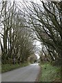 Lane approaching Trefrew