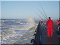 Fishing Near Hall Road