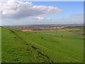 Downland, Bincombe