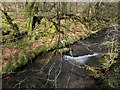 Tregoodwell Brook