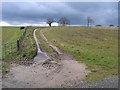 SJ2266 : Farmland and track at Gwysaney by John S Turner