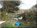 Tricky footpath, Trewassa