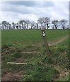 Footpath from West Bergholt towards Fossetts Lane and Fordham