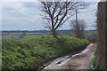 Fossetts Lane, looking south